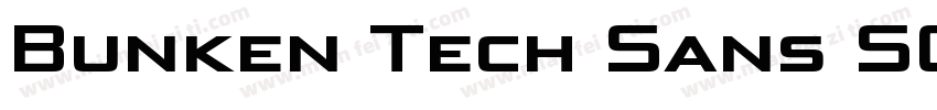 Bunken Tech Sans SC Wide W01Bk字体转换